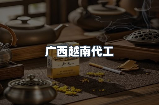 广西越南代工